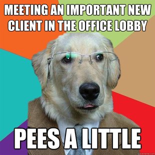 Business Dog