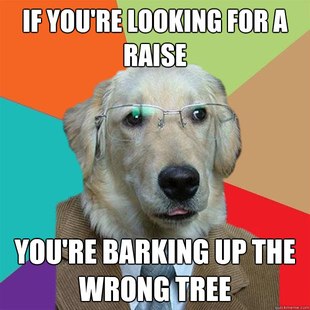 Business Dog