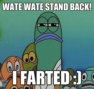 Serious fish SpongeBob