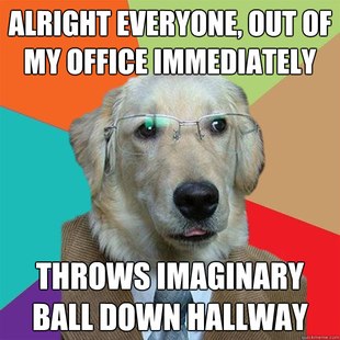 Business Dog