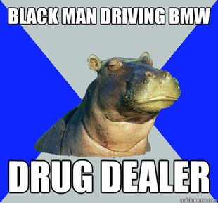 Skeptical Hippo