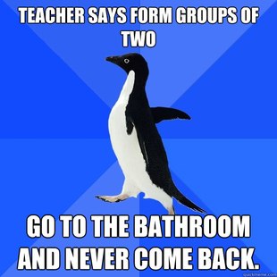 Socially Awkward Penguin