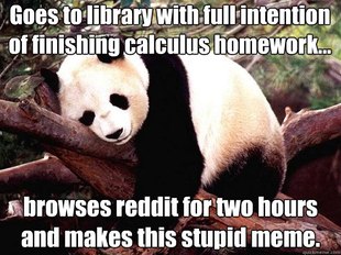 Procrastination Panda