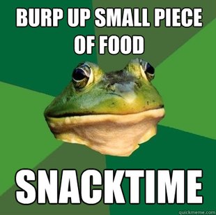 Foul Bachelor Frog