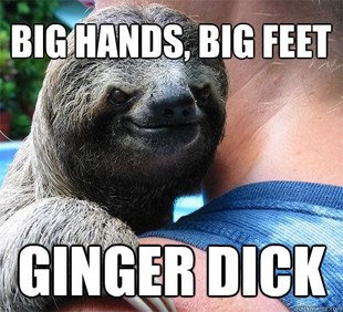 Suspiciously Evil Sloth