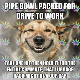 Stoner Dog