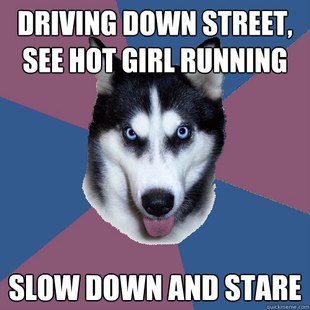 Creeper Canine