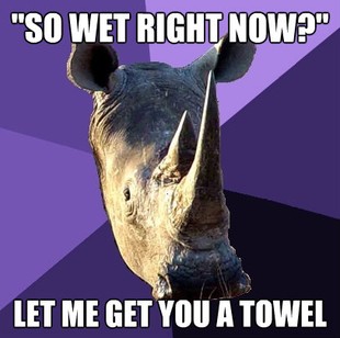 Sexually Oblivious Rhino