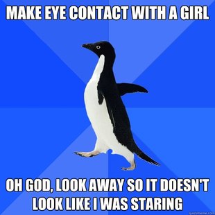 Socially Awkward Penguin