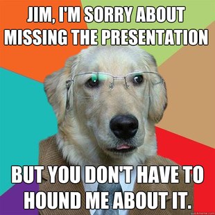 Business Dog