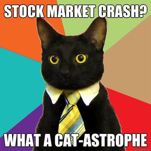Business Cat