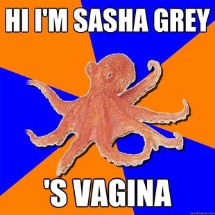 Online Diagnosis Octopus