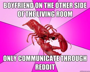Long-term relationship Lobster