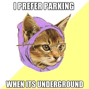 Hipster Kitty