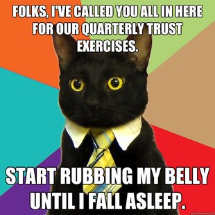 Business Cat