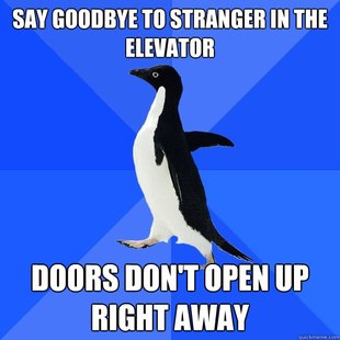 Socially Awkward Penguin