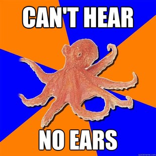 Online Diagnosis Octopus