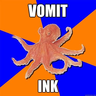 Online Diagnosis Octopus