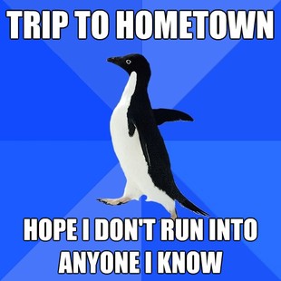 Socially Awkward Penguin