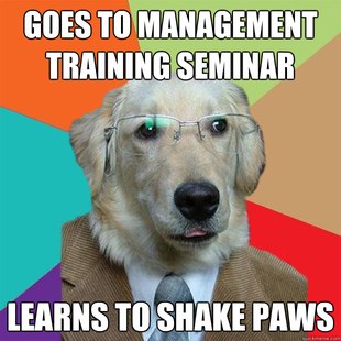 Business Dog
