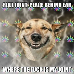 Stoner Dog