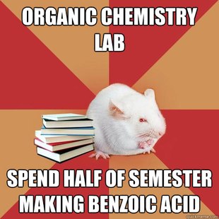 Science Major Mouse