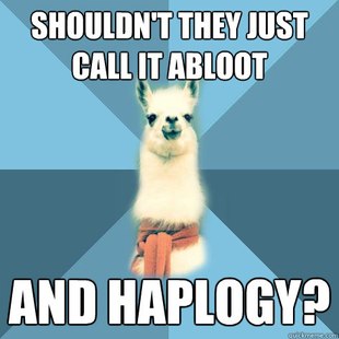Linguist Llama
