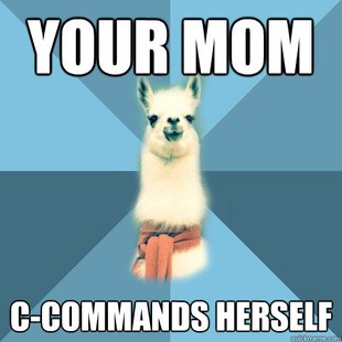 Linguist Llama