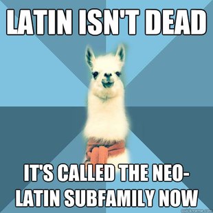 Linguist Llama