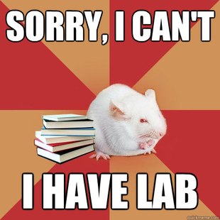 Science Major Mouse