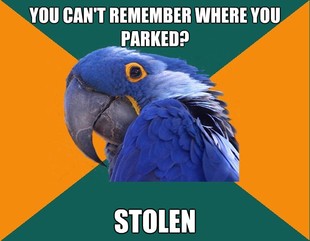 Paranoid Parrot