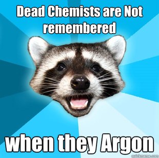 Lame Pun Coon