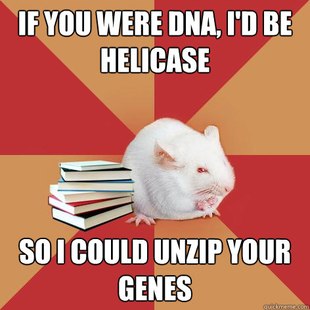 Science Major Mouse