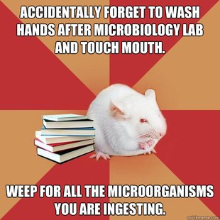 Science Major Mouse