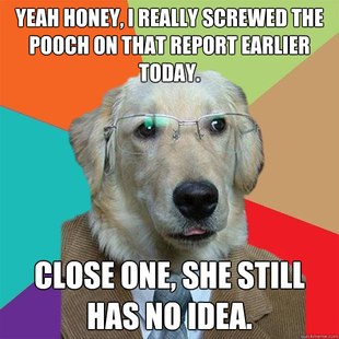 Business Dog