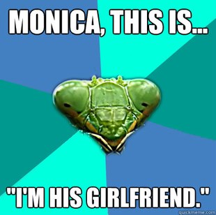 Crazy Girlfriend Praying Mantis