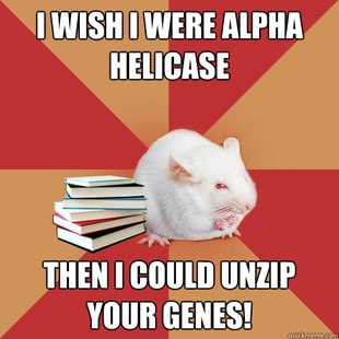 Science Major Mouse