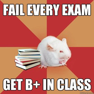 Science Major Mouse