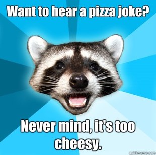 Lame Pun Coon