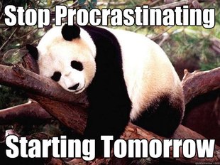 Procrastination Panda