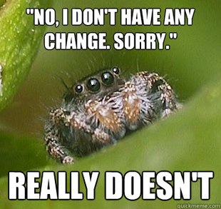 Misunderstood Spider