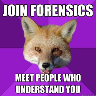 Forensics Fox