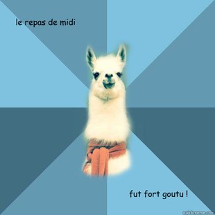 Linguist Llama