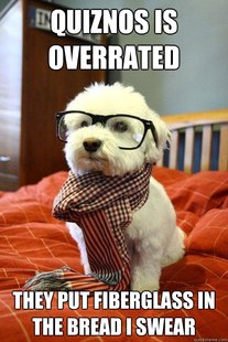 Hipster Dog