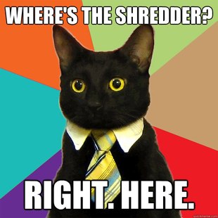 Business Cat
