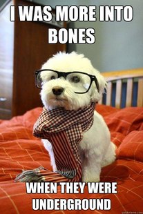 Hipster Dog