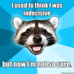 Lame Pun Coon