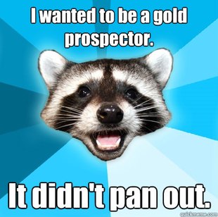 Lame Pun Coon