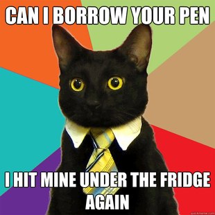 Business Cat