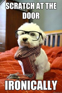 Hipster Dog